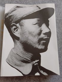 杨成武文集