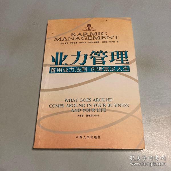 业力管理：善用业力法则 创造富足人生