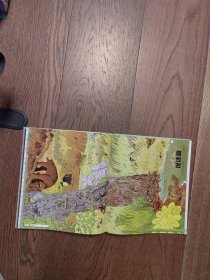 DK放我出去 儿童探秘大百科(精装版)(全彩)