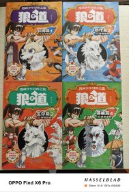 漫画少年冒险之旅：狼之道全4册（2024年版）