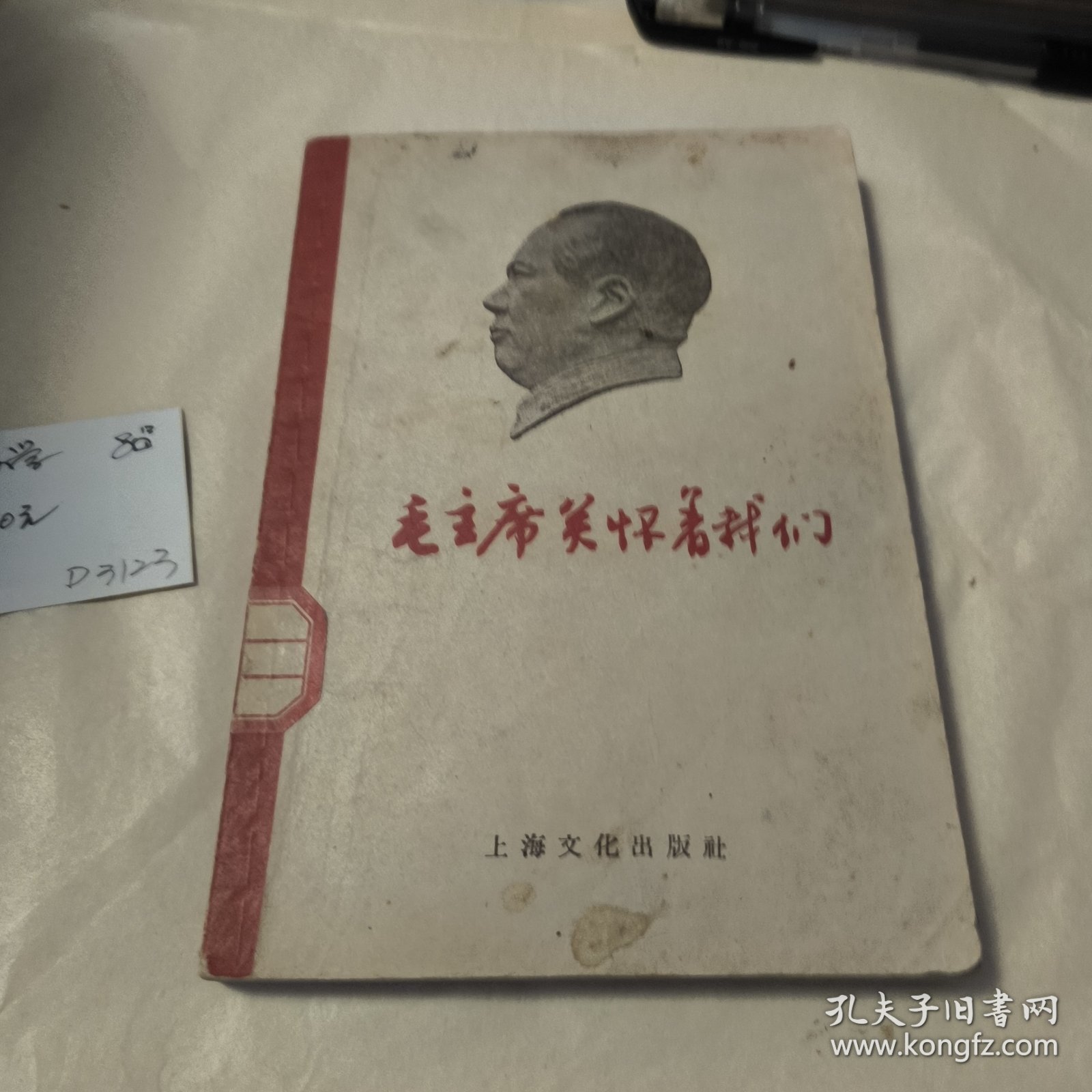 毛主席关怀着我们
