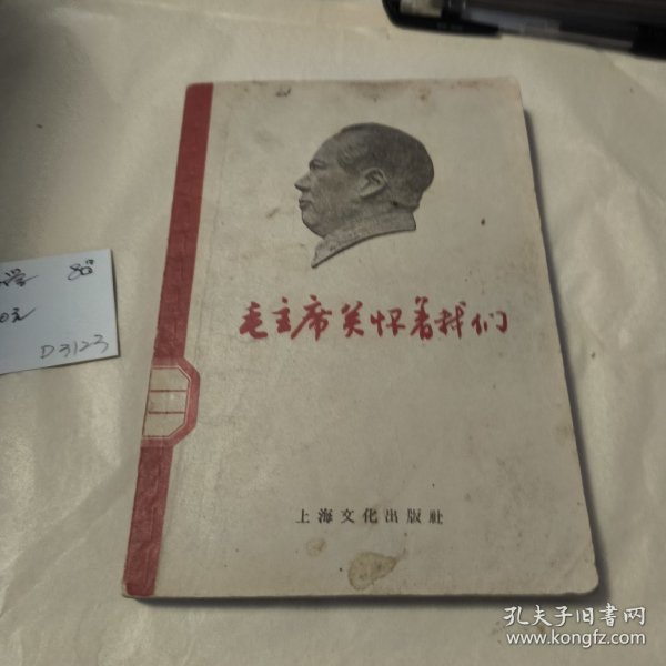 毛主席关怀着我们