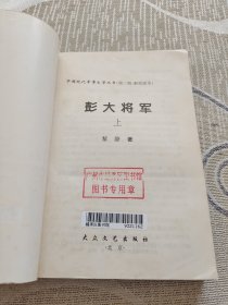 彭大将军（上）