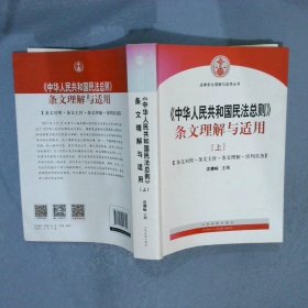 中华人民共和国民法总则 条文理解与适用（套装上下册）