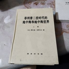 《菲利普二世时代的地中海和地中海世界》（上卷）