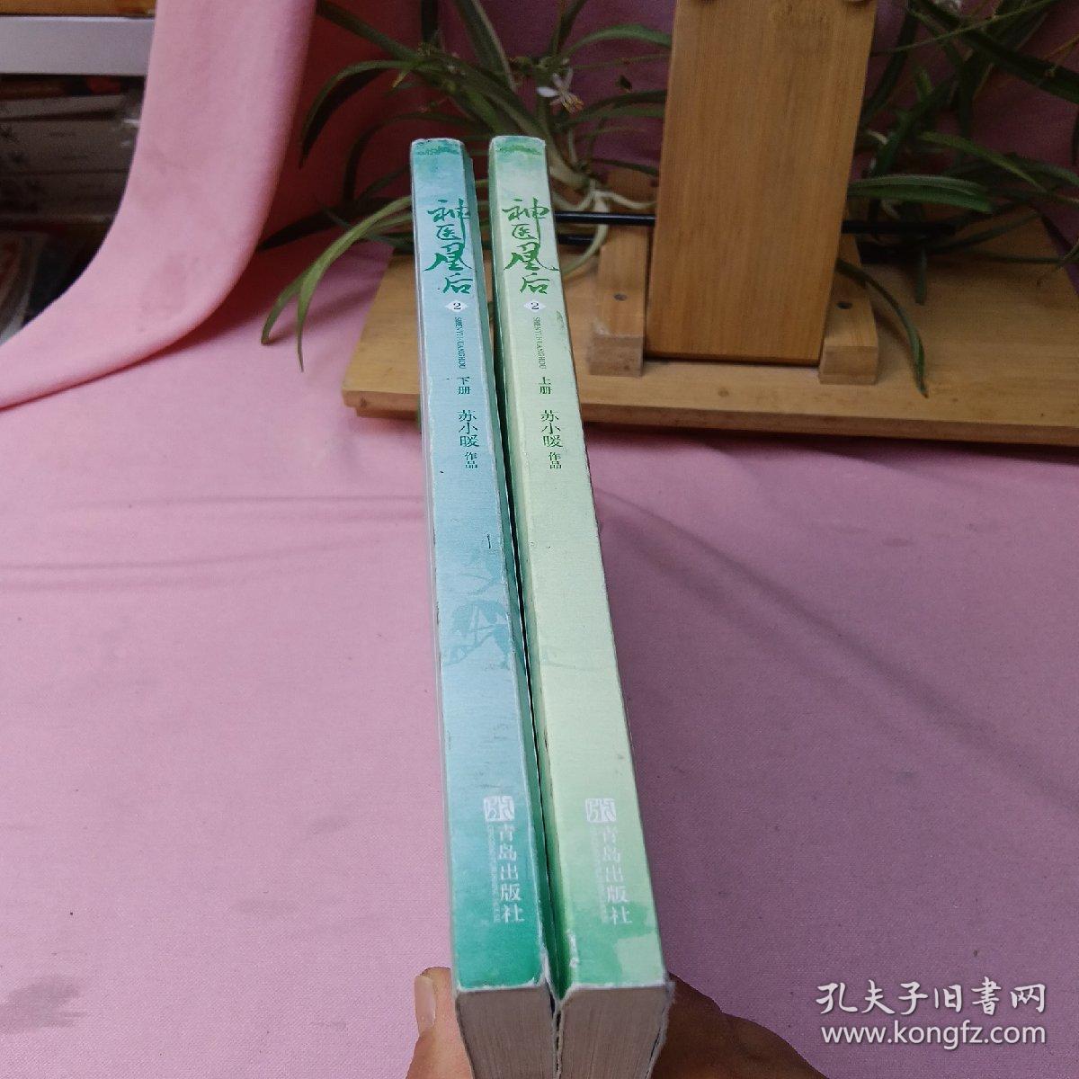 神医凰后2上下册