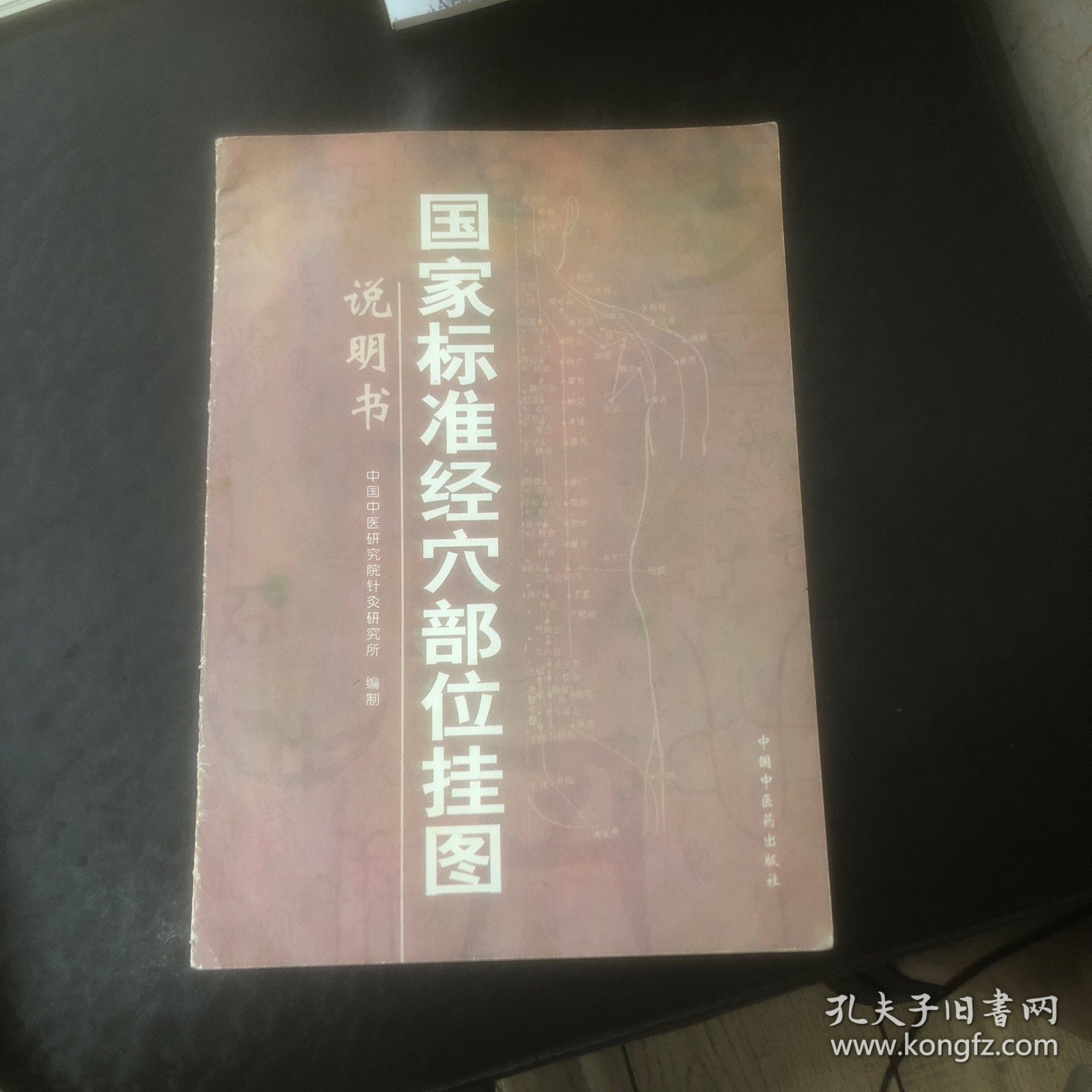 国家标准经穴部位挂图说明书