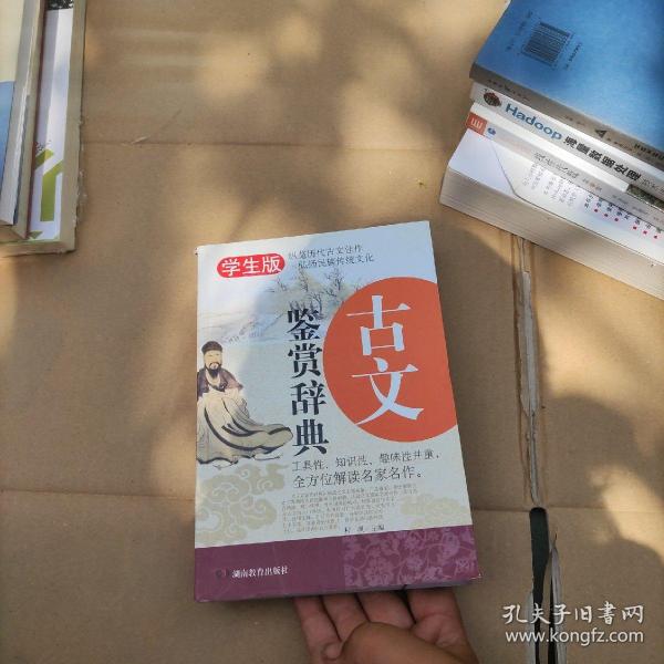 古文鉴赏辞典 无障碍阅读学生版