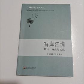 智库咨询：框架、实施与案例研究