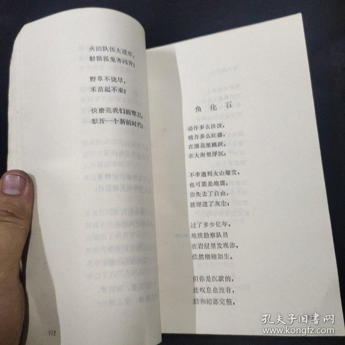 艾青抒情诗选