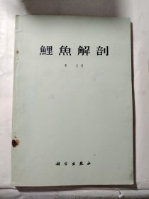 鲤鱼解剖