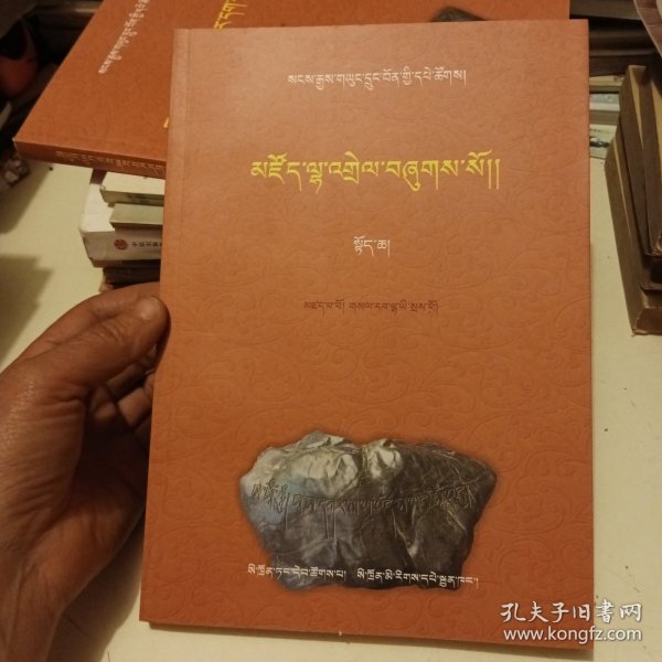 藏族珍稀古籍集成. 第12卷 : 藏文
