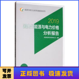 国内外能源与电力价格分析报告:2019