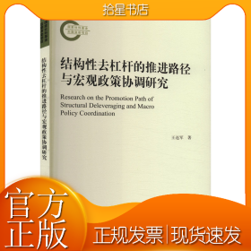 结构性去杠杆的推进路径与宏观政策协调研究