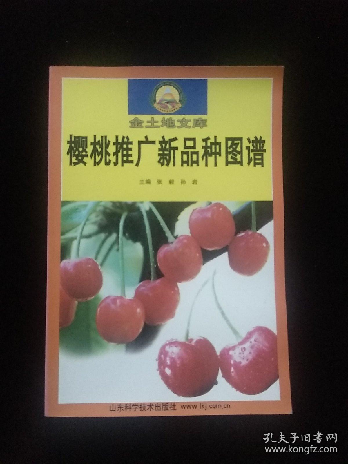 樱桃推广新品图谱