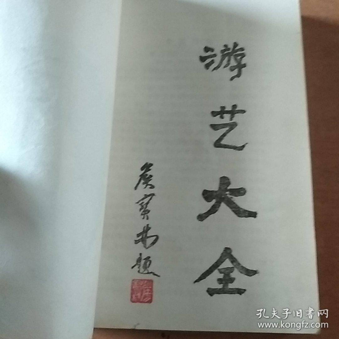 游艺大全