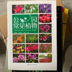 公园常见植物