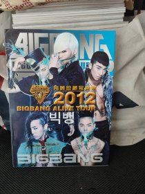 BIGBANG完美珍藏写真集2012