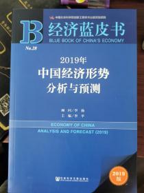 经济蓝皮书：2019年中国经济形势分析与预测【近全新，无涂画笔记】