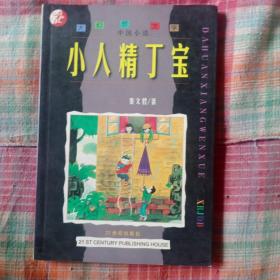 小人精丁宝：大幻想文学 : 中国小说
