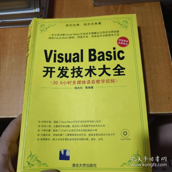 Visual Basic开发技术大全