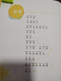 金波四季童话（4本合售）春天卷+夏天卷+ 秋天卷+冬天卷（注音美绘版）