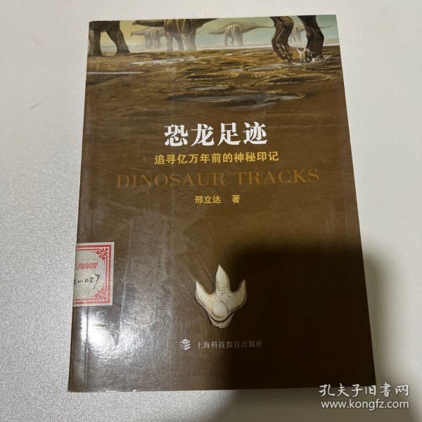 恐龙足迹：追寻亿万年前的神秘印记