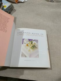 The Home Guide to Cake Decorating 家庭蛋糕装饰入门