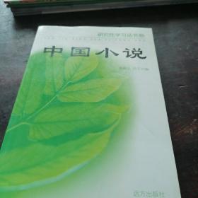 中国小说