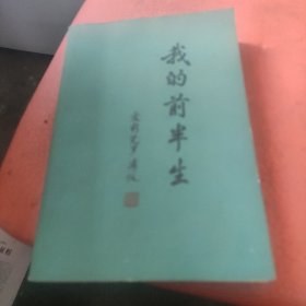 我的前半生