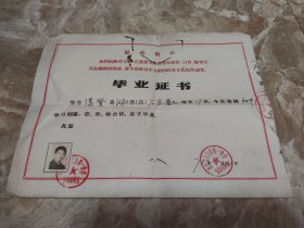 【老证书收藏】一九七一年（1971年）湖北省石首县第一中学《毕业证书》（初中）最高指示