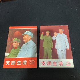 支部生活1971-1970年2本封面精美林彪