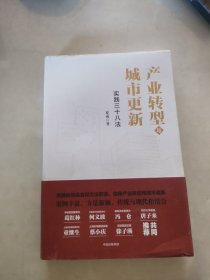 产业转型与城市更新：实践三十八法