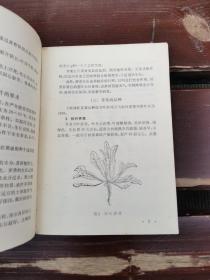 蔬菜生产小丛书 荠菜（正版现货，内页无字迹划线）