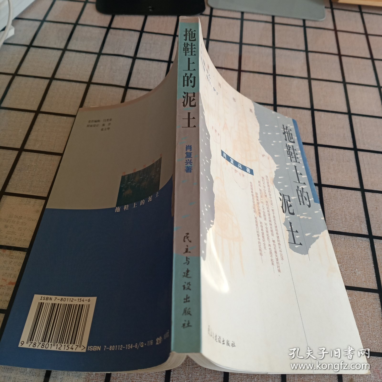 《拖鞋上的泥土》【正版现货，品如图】