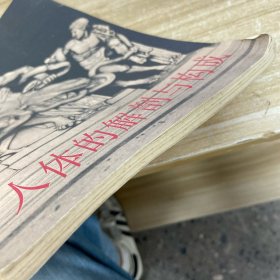 人体的解剖与构成