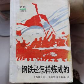钢铁是怎样炼成的