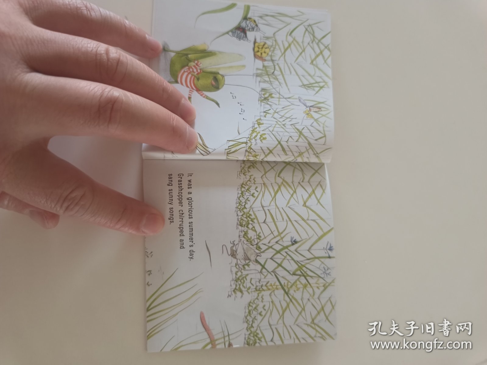 The Ant and the Grasshopper蚂蚁和蚂蚱