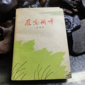 雁鸣湖畔