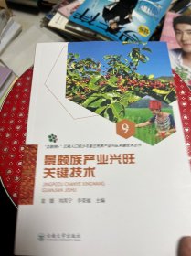 景颇族产业兴旺关键技术