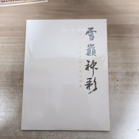 雪巅神彩:李兵水墨高原雪山画作品选【全新未拆封】