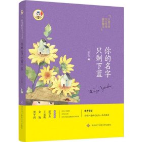 你的名字只剩下蓝