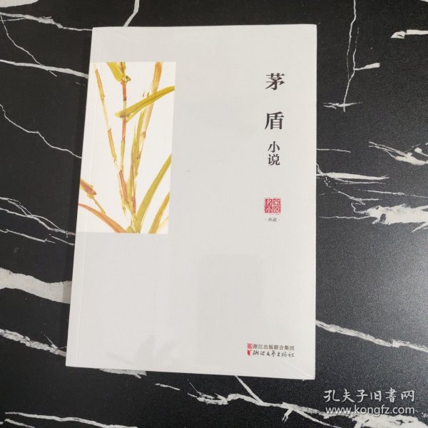 名家小说典藏：茅盾小说