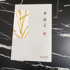 名家小说典藏：茅盾小说