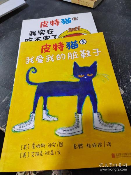 皮特猫