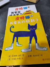 皮特猫