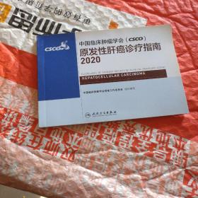 中国临床肿瘤学会（CSCO）原发性肝癌诊疗指南2020