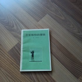 少年维特的烦恼