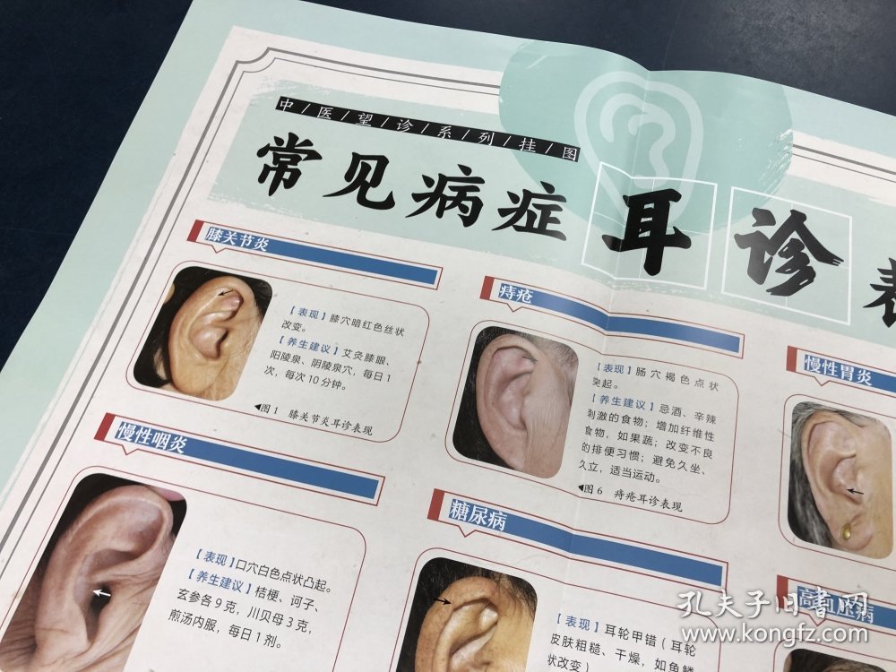 观耳诊病挂图/中医望诊系列挂图
