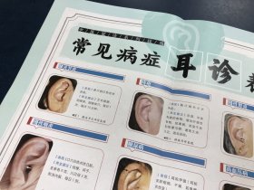 观耳诊病挂图/中医望诊系列挂图
